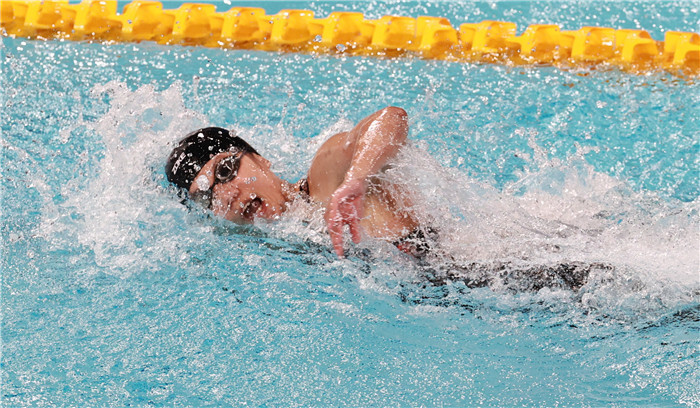 关于荷兰队在游泳项目中赢得突出发挥，全场震撼的信息