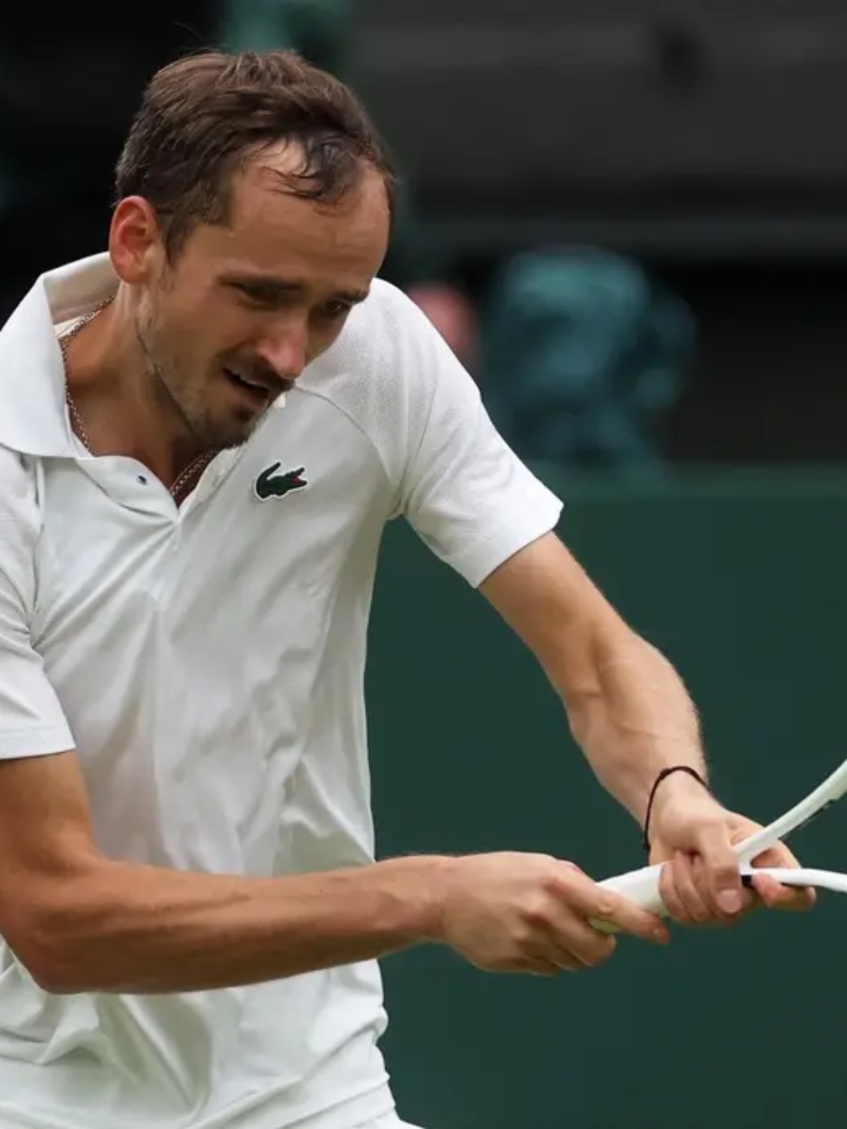 拉沃尔杯碾压年终总决赛，梅德韦杰夫刷新纪录