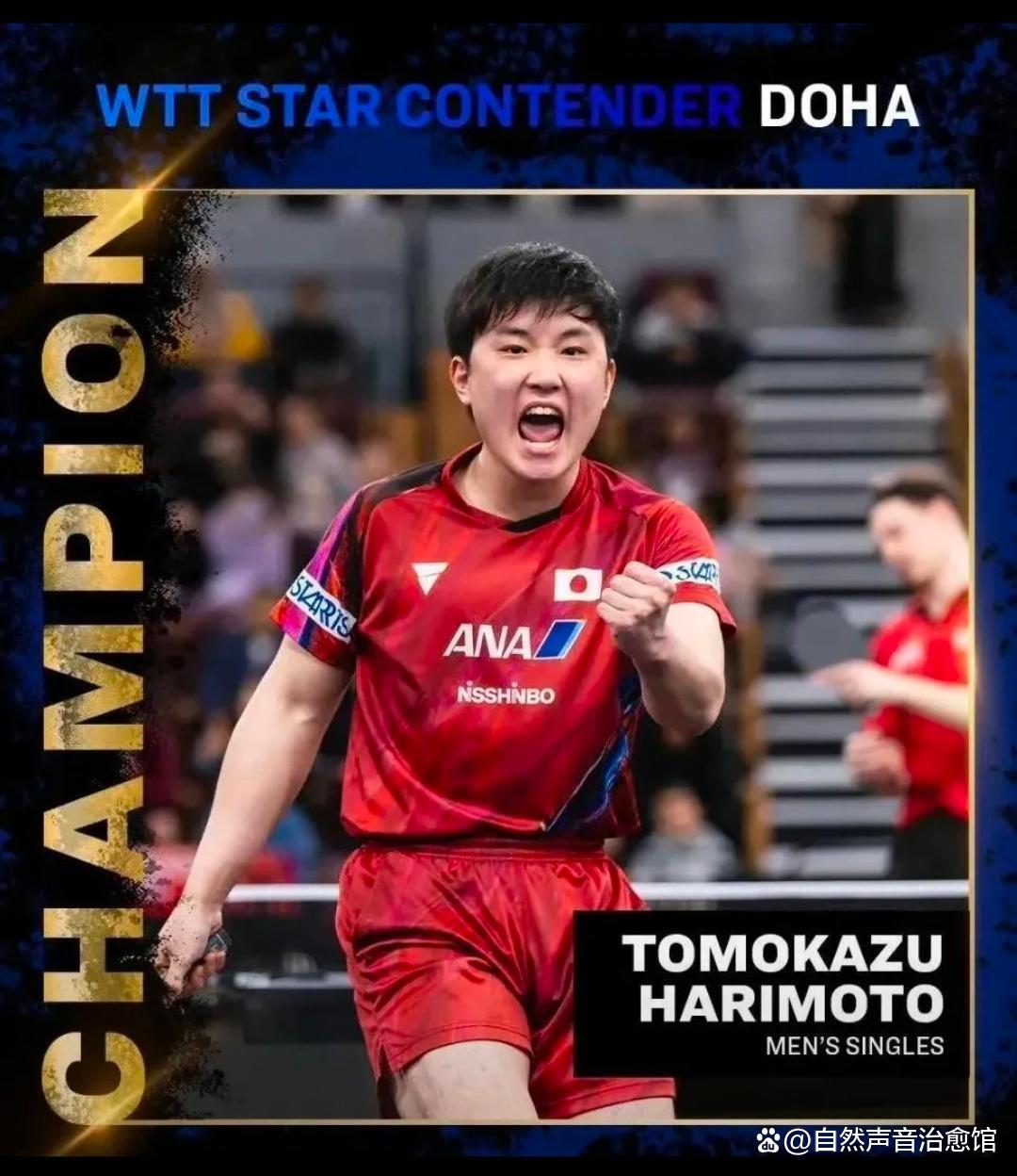 德国队力克波兰队，张本智和惊艳四座的简单介绍