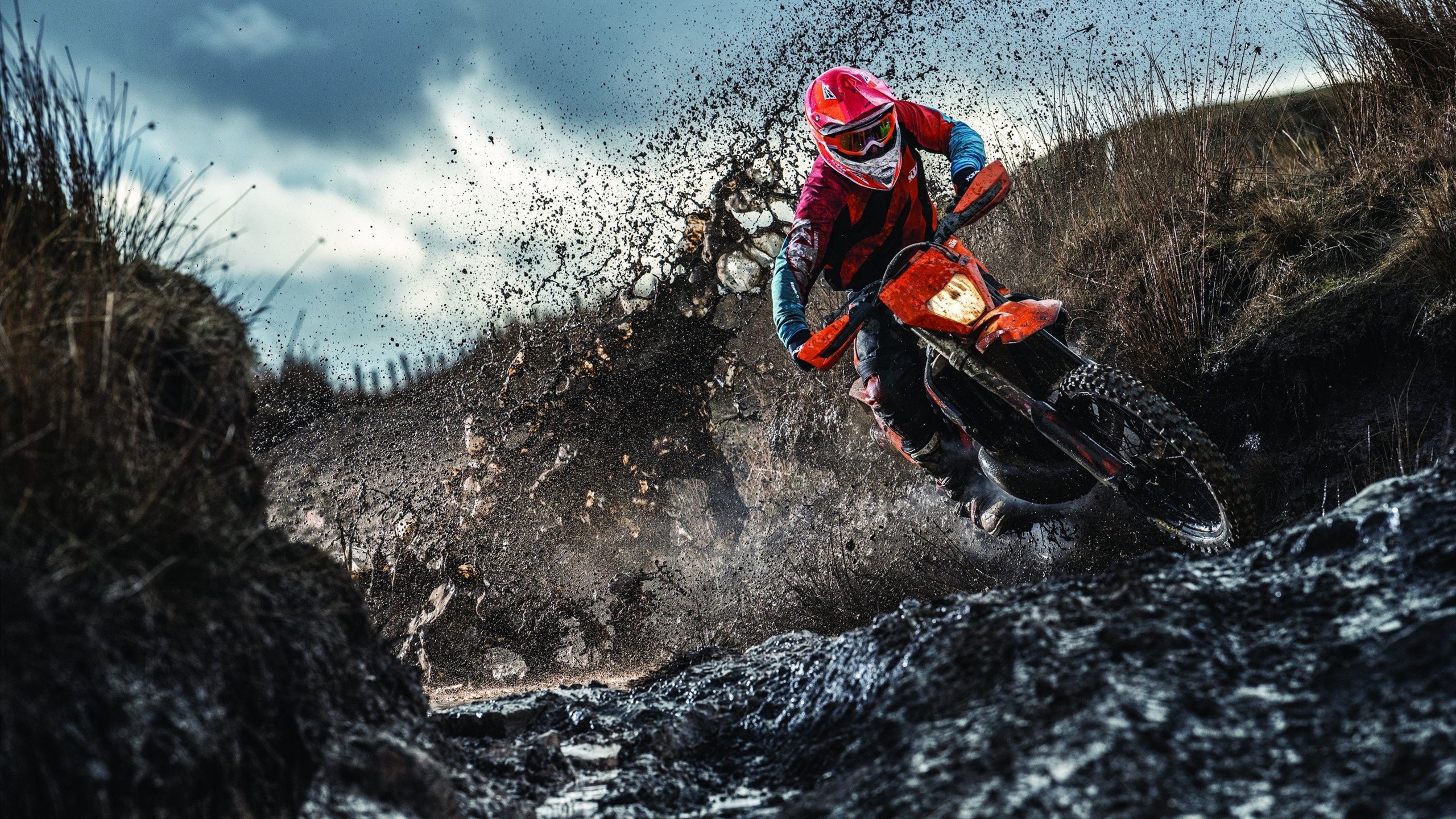 德甲争冠启示录，从尼克斯战术压制爵士，看现代体育的体系博弈